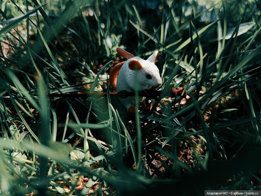 Школа Добра и Зла /Последнее "Долго и счастливо" /16 серия /Эдгар и Эсса /часть 2