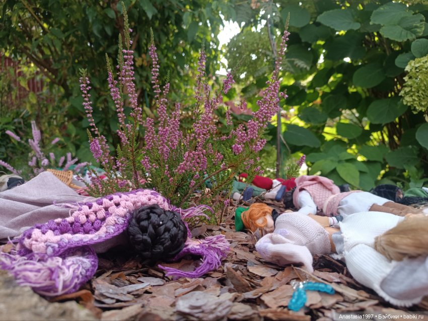 Музыкальный фестиваль 2025 /Вересковый мëд