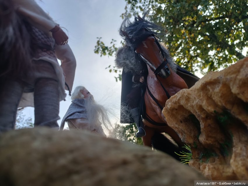 Музыкальный фестиваль 2025 /Вересковый мëд