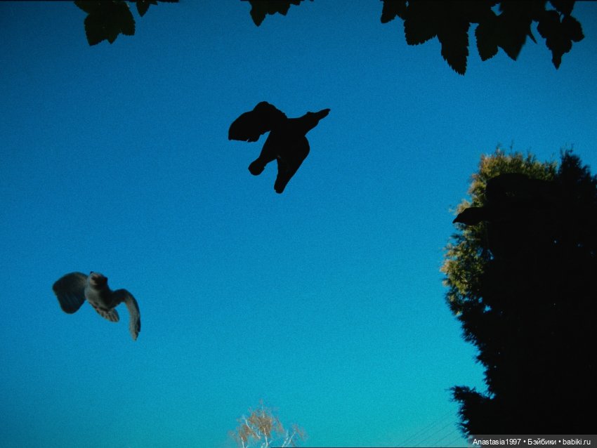 Школа Добра и Зла/ Последнее "Долго и счастливо" /17 серия /Миссии невыполнимы /часть 2