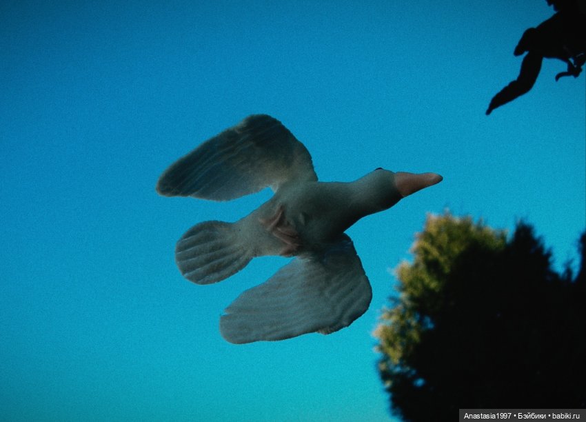 Школа Добра и Зла/ Последнее "Долго и счастливо" /17 серия /Миссии невыполнимы /часть 2