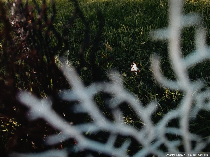 Школа Добра и Зла /Последнее "Долго и счастливо" /17 серия /Миссии невыполнимы /часть 3