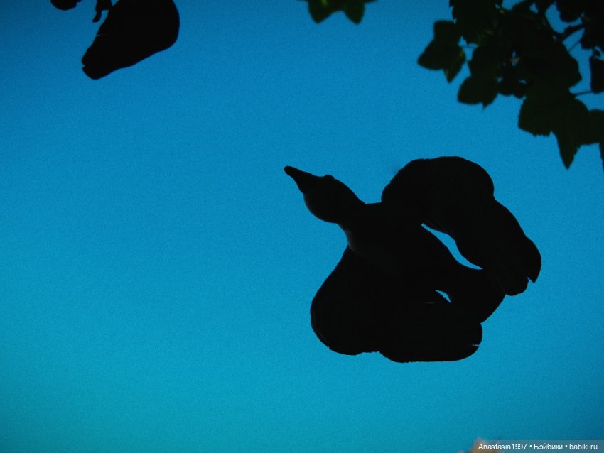 Школа Добра и Зла/ Последнее "Долго и счастливо" /17 серия /Миссии невыполнимы /часть 2