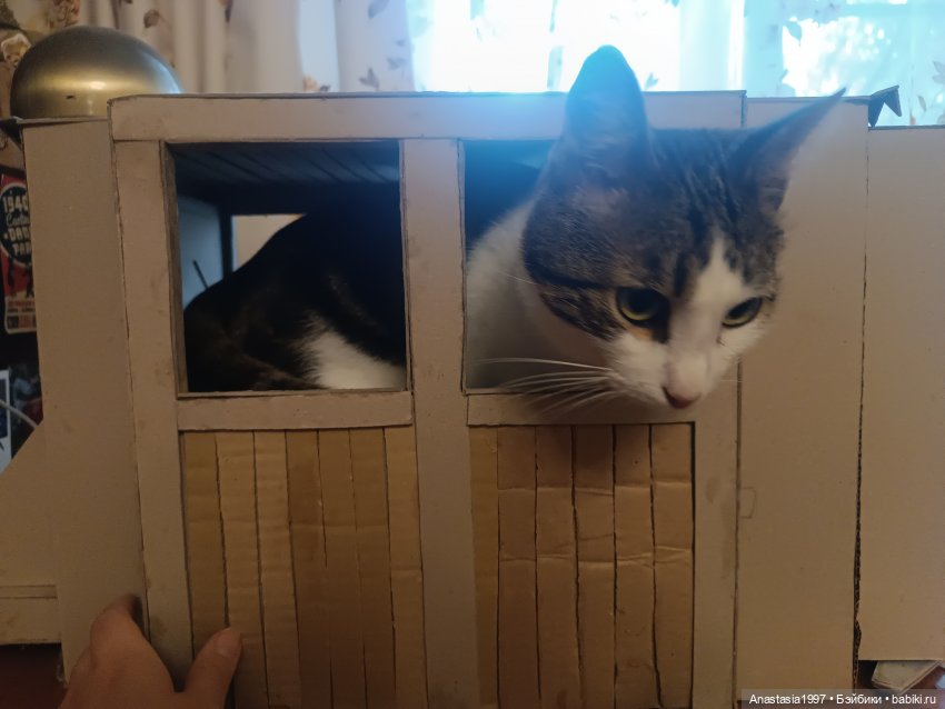 Королевская карета — Мебель для кукол и домиков: фото