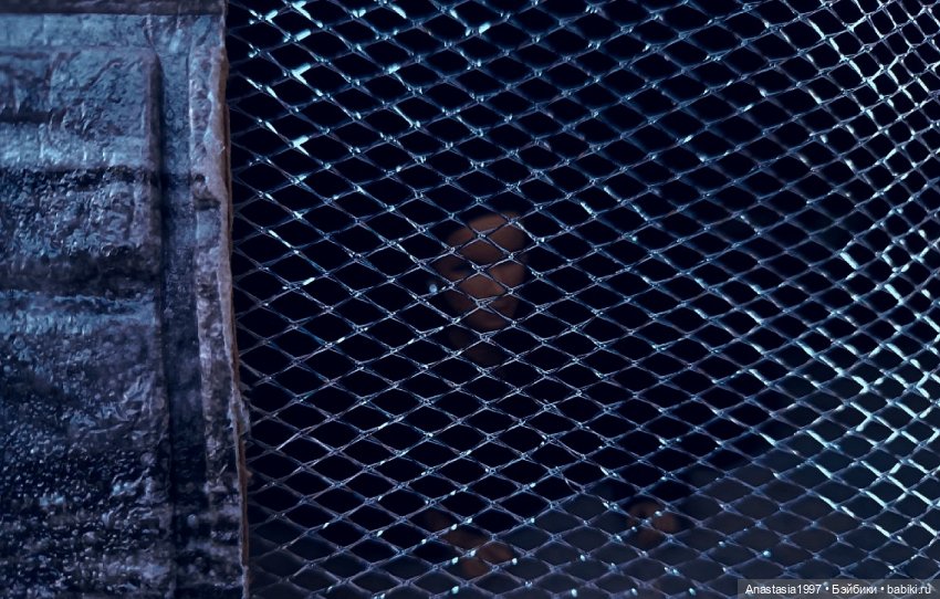 Школа Добра и Зла /Последнее "Долго и счастливо" /19 серия /Вечер встречи школьных друзей /часть 2 (фото 2)