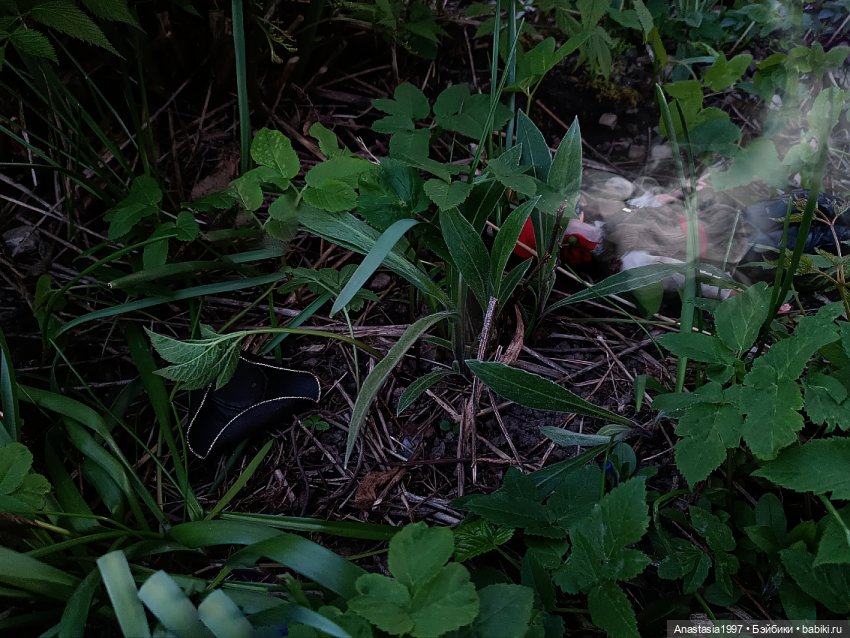 Школа Добра и Зла /Последнее "Долго и счастливо" /23 серия /Две королевы /часть 3