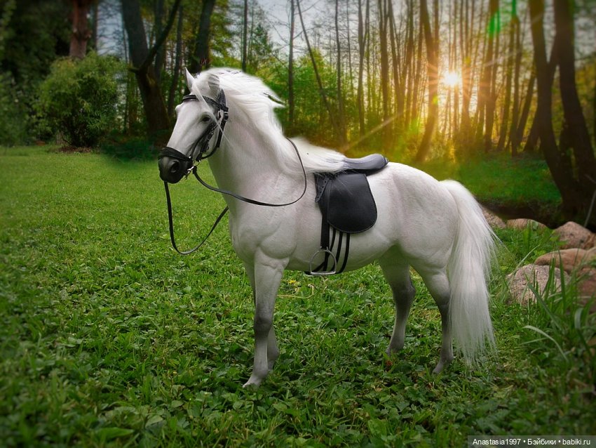 Школа Добра и Зла /Последнее "Долго и счастливо" /25 серия /Скорпион и лягушка /часть 1 | Бэйбики Школа Добра и Зла /Последнее "Долго и счастливо" /25 серия /Скорпион и лягушка /часть 1 (фото 6)