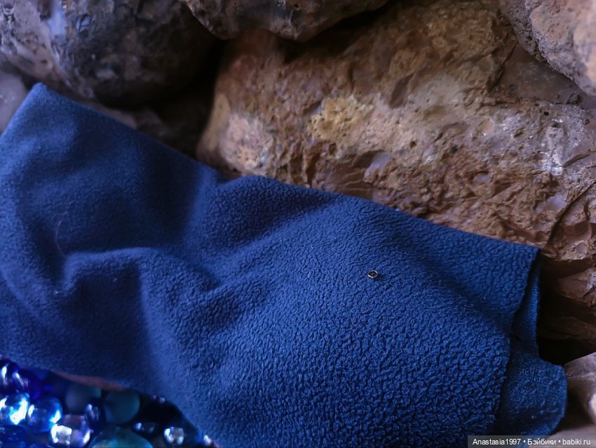 Школа Добра и Зла /Последнее "Долго и счастливо" /25 серия /Скорпион и лягушка /часть 3 | Бэйбики Школа Добра и Зла /Последнее "Долго и счастливо" /25 серия /Скорпион и лягушка /часть 3