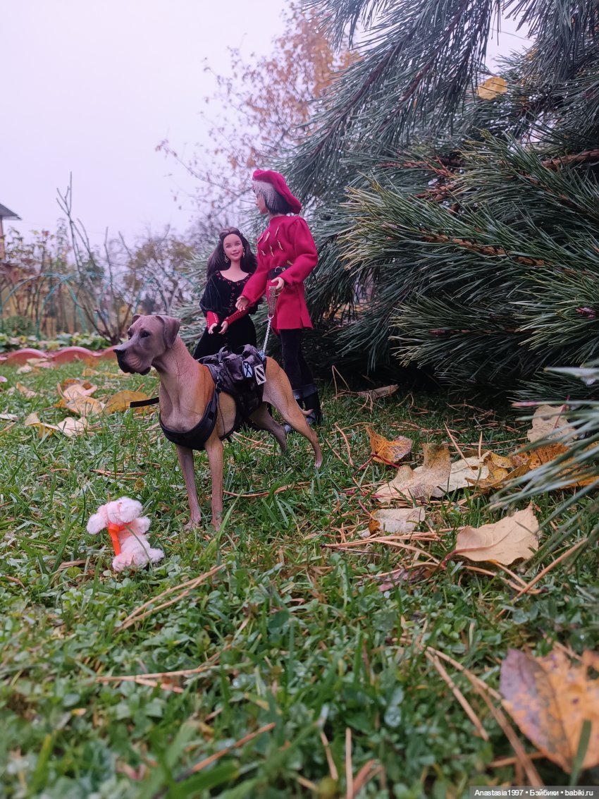 Мои итоги 2025 /Приехавшие и уехавшие /часть 2