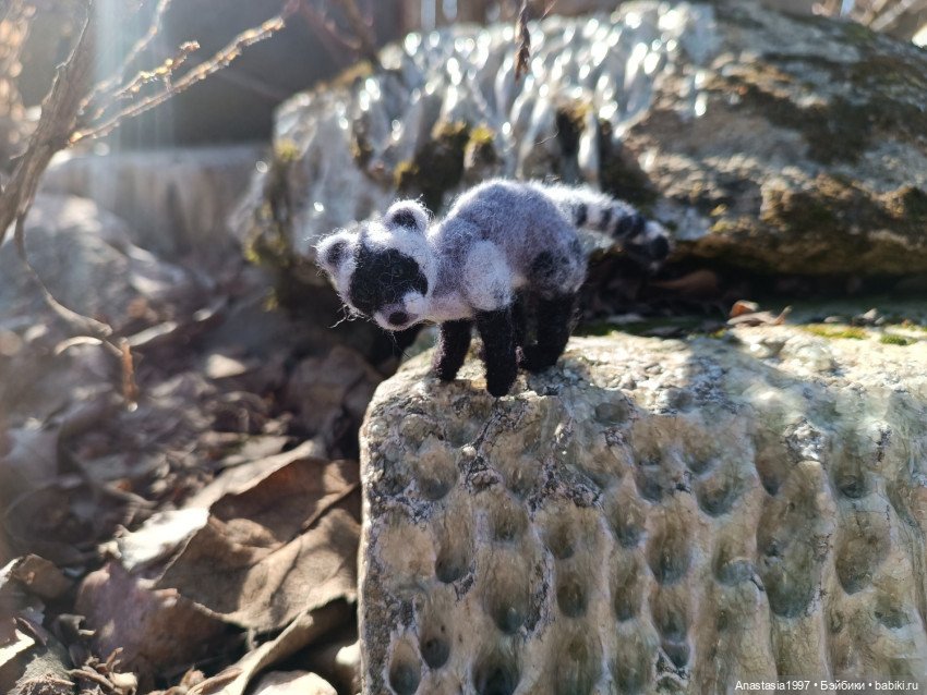 Мои итоги 2025 года /О разном /часть 3