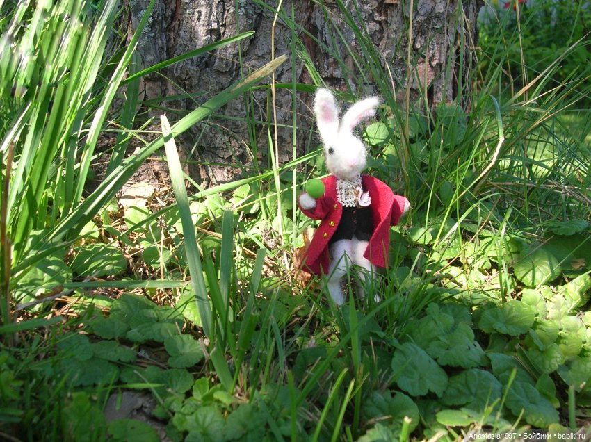 Школа Добра и Зла /Последнее "Долго и счастливо" /29 серия /Проваленные задания /часть 1 (фото 5)