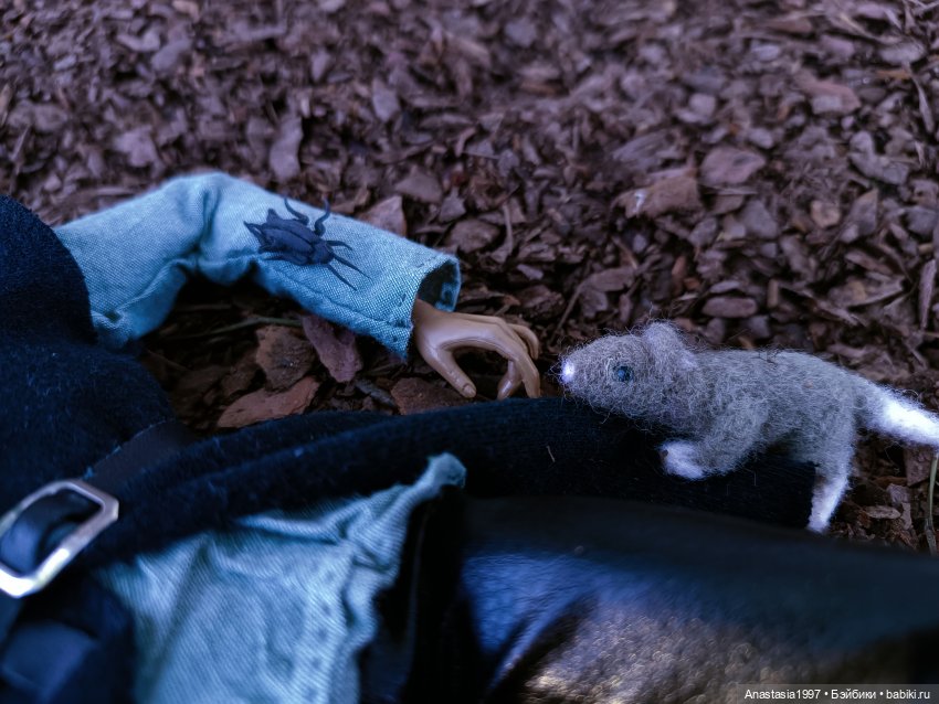 Школа Добра и Зла /Последнее "Долго и счастливо" /34 серия /Война всех со всеми /часть 2 (фото 7)