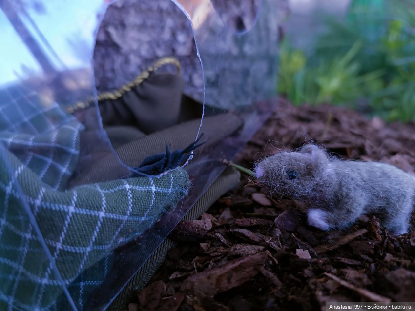 Школа Добра и Зла /Последнее "Долго и счастливо" /34 серия /Война всех со всеми /часть 2 (фото 4)