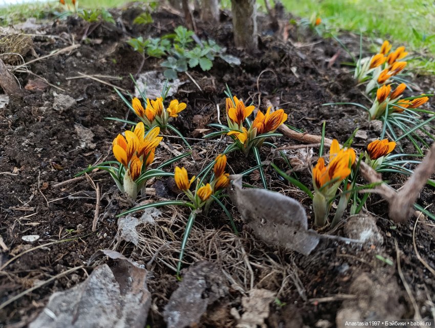 Кира. Маленькая принцесса