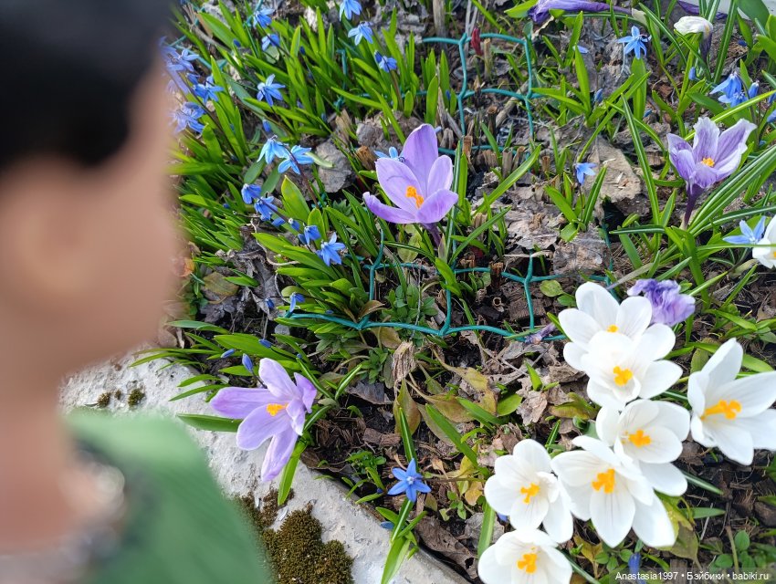 Кира. Маленькая принцесса