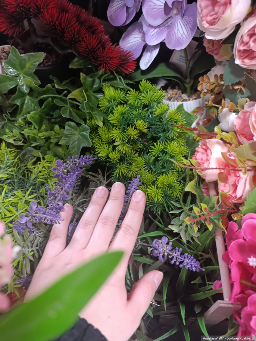 Пергола для королевского сада