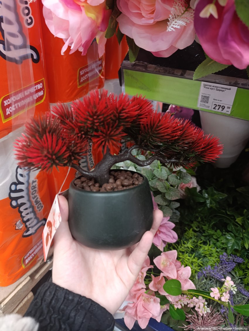 Пергола для королевского сада