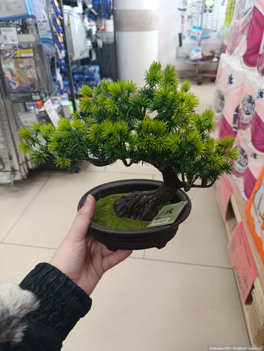 Пергола для королевского сада