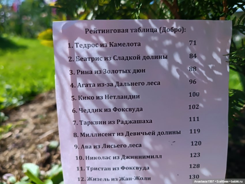 Школа Добра и Зла: Принцесса или ведьма /Подборка фото /часть 6
