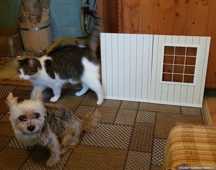 Румбокс - мой первый опыт