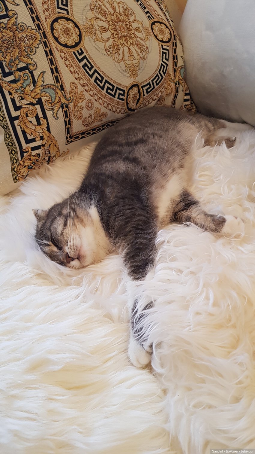 Пусть эта елочка в праздничный час каждой иголочкой радует нас