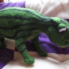 Детёныш арбуза