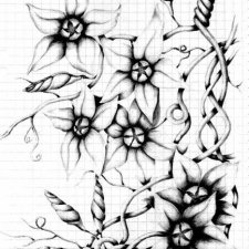 Цветы - шариковая ручка, чёрно-белые сканы