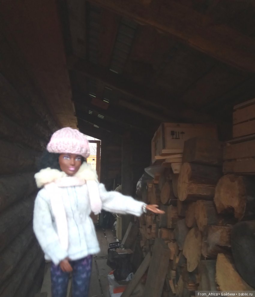 Воткинск. День приезда | Бэйбики Воткинск. День приезда — Куклы Barbie (Барби): Looks (фото 4)