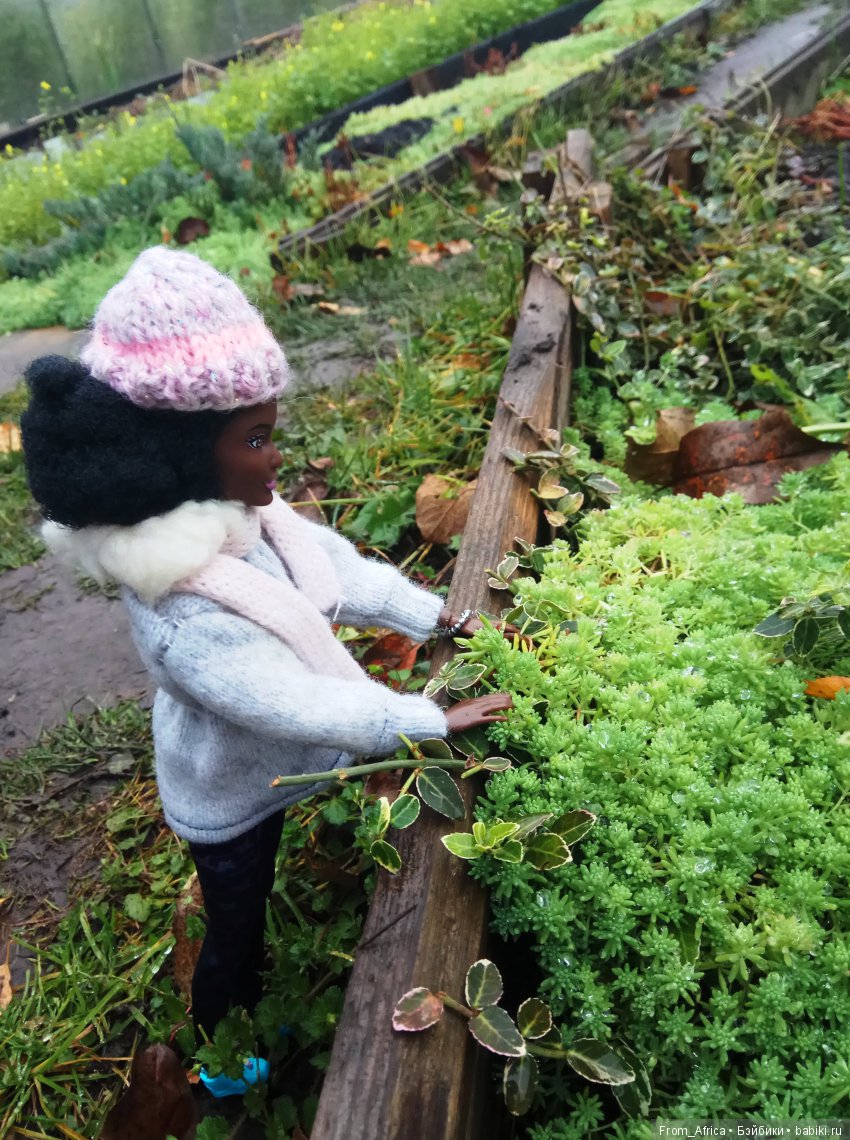 Воткинск. День приезда | Бэйбики Воткинск. День приезда — Куклы Barbie (Барби): Looks (фото 7)