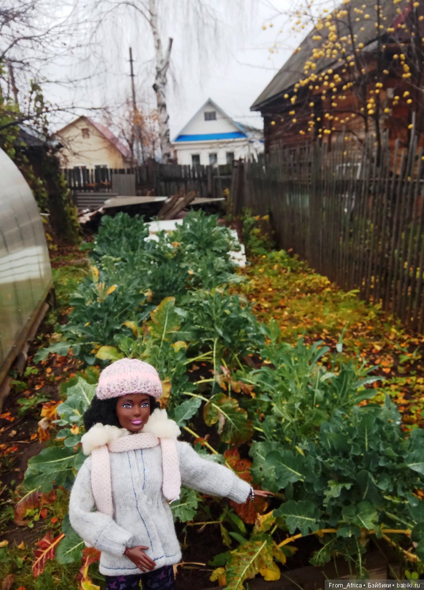 Воткинск. День приезда | Бэйбики Воткинск. День приезда — Куклы Barbie (Барби): Looks (фото 10)
