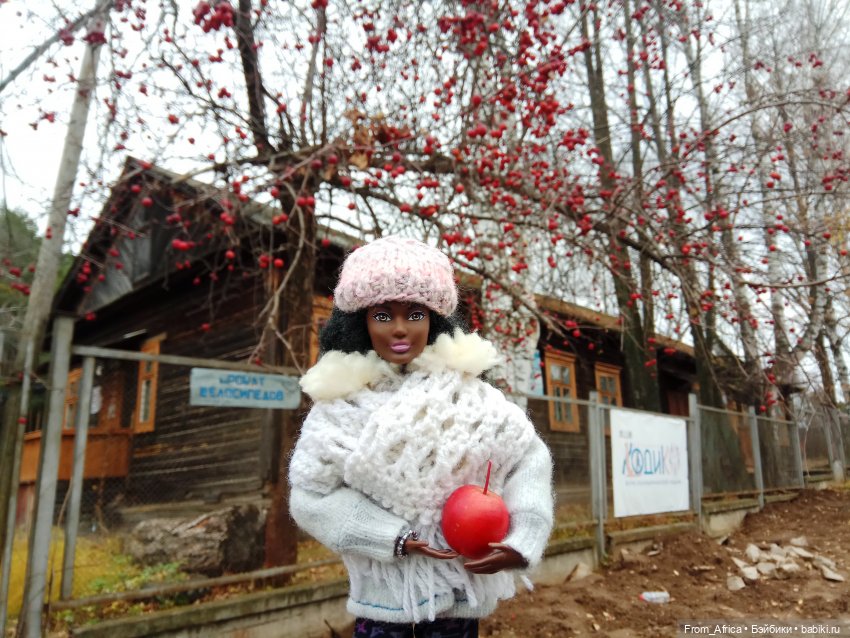 Воспоминания. Часть 3 — Куклы Barbie (Барби): Looks