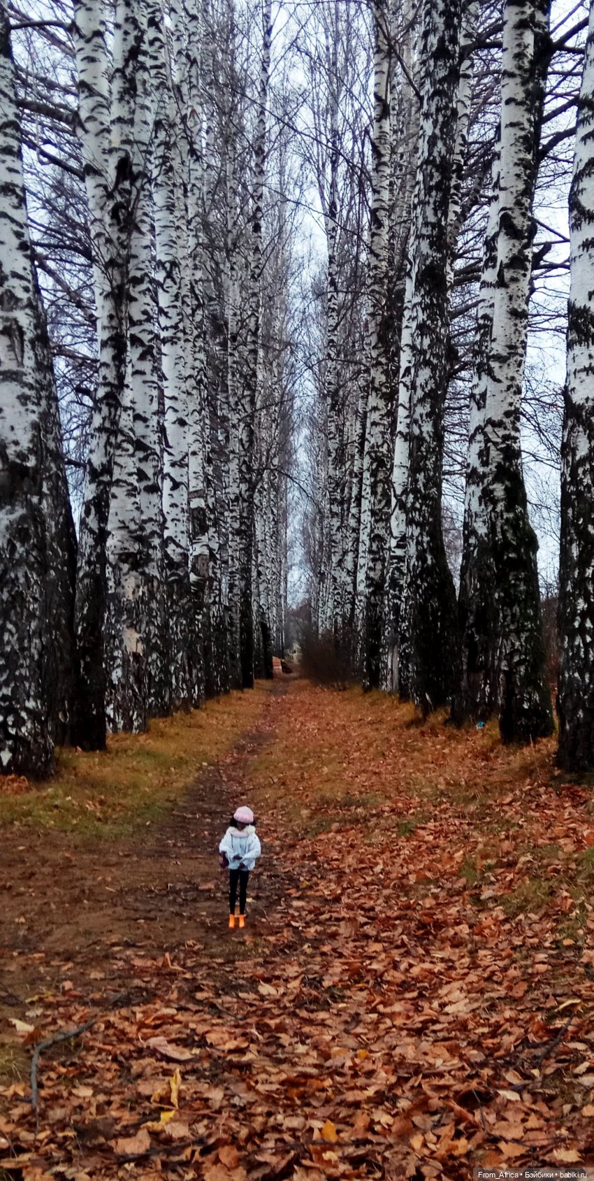 Воспоминания. Часть 3 — Куклы Barbie (Барби): Looks (фото 2)