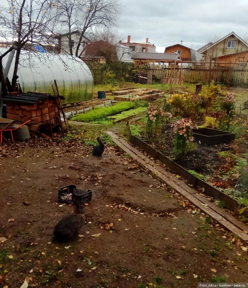 Воспоминания. Часть 1 | Бэйбики Воспоминания. Часть 1 — Куклы Barbie (Барби): Looks (фото 6)