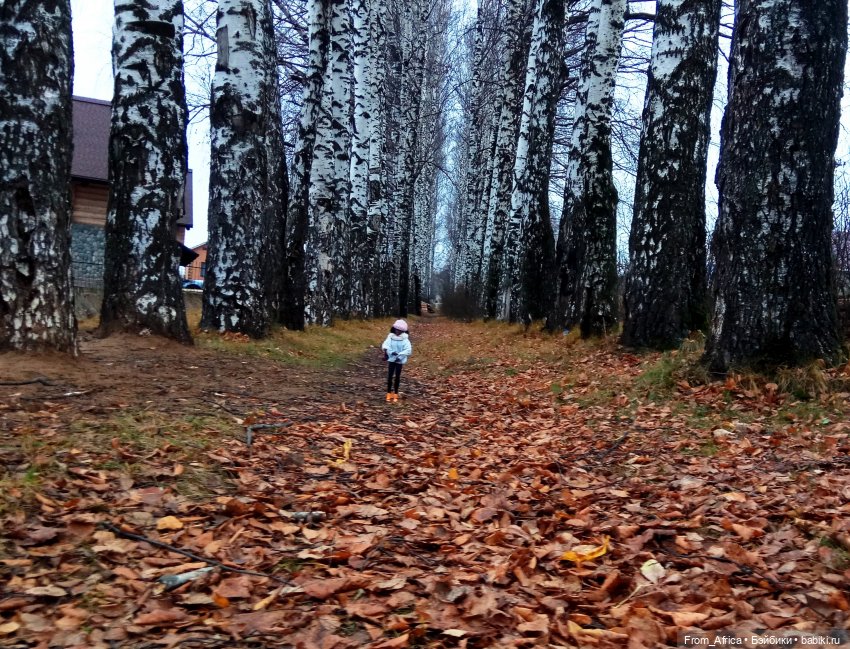 Воспоминания. Часть 3 — Куклы Barbie (Барби): Looks (фото 3)