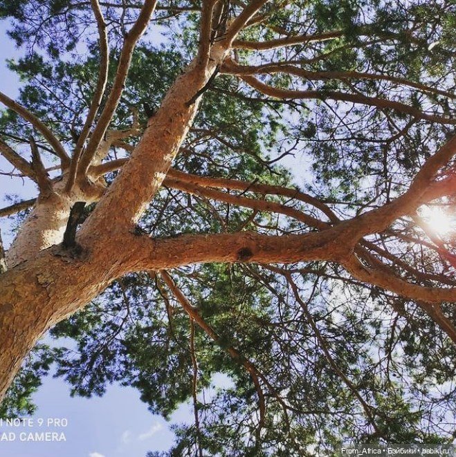 Воспоминания. Часть 3 — Куклы Barbie (Барби): Looks