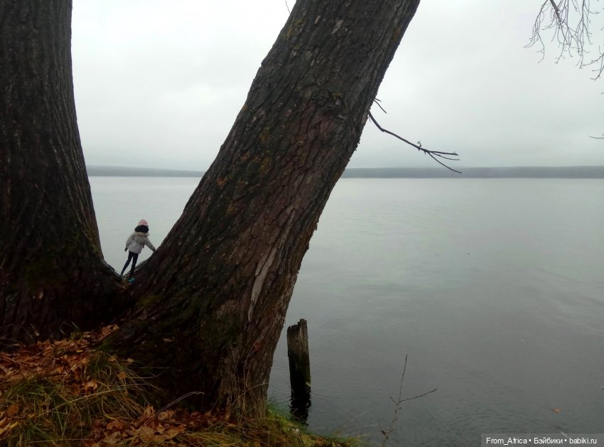 Воспоминания. Часть 3 — Куклы Barbie (Барби): Looks