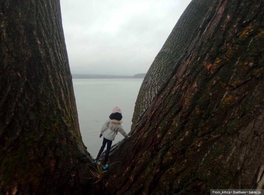 Воспоминания. Часть 3 — Куклы Barbie (Барби): Looks