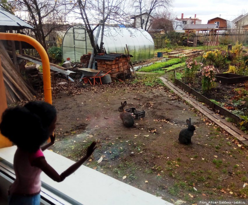 Воспоминания. Часть 1 | Бэйбики Воспоминания. Часть 1 — Куклы Barbie (Барби): Looks (фото 5)