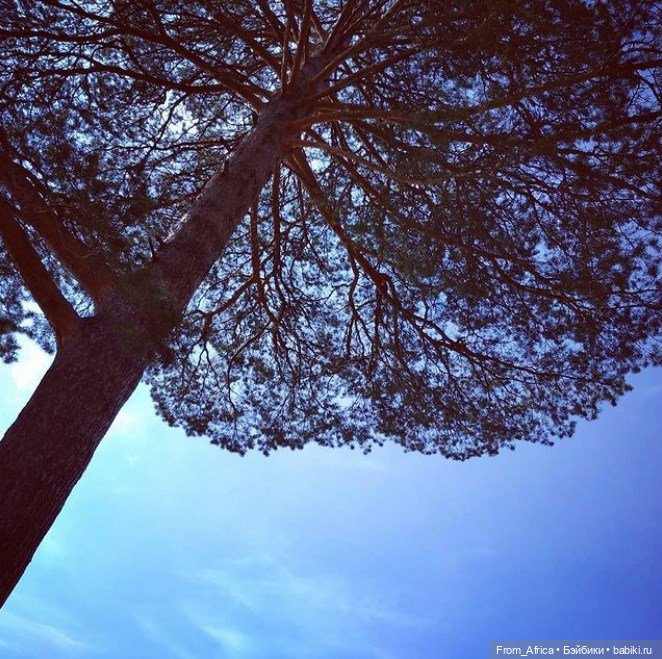 Воспоминания. Часть 3 — Куклы Barbie (Барби): Looks