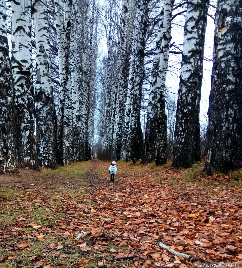 Воспоминания. Часть 3 — Куклы Barbie (Барби): Looks