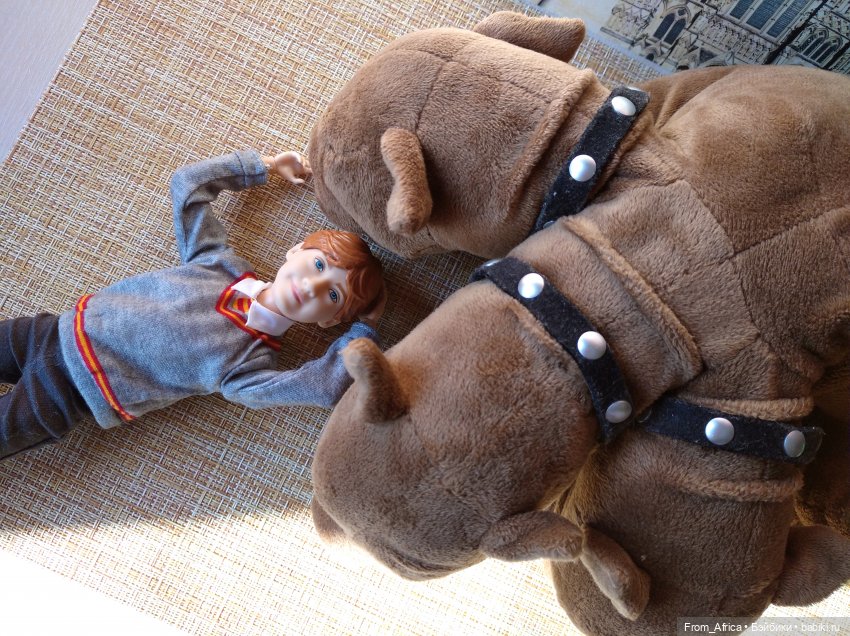 Рон Уизли приехал — Куклы Barbie (Барби): Looks