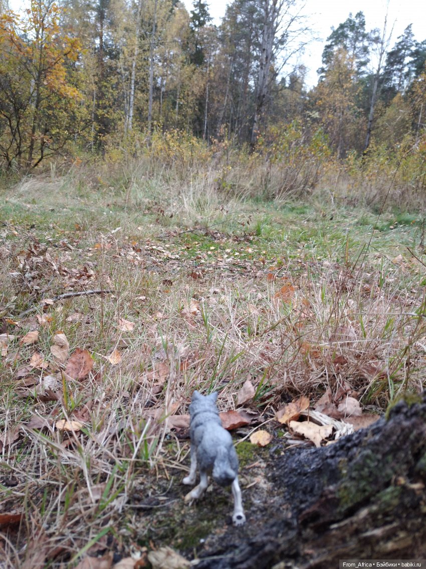 Непобедимая Гриффиндорская Львица