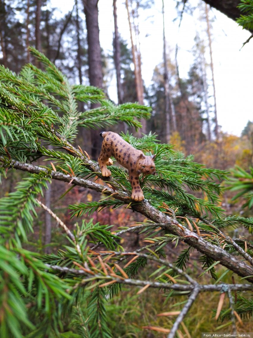 Непобедимая Гриффиндорская Львица