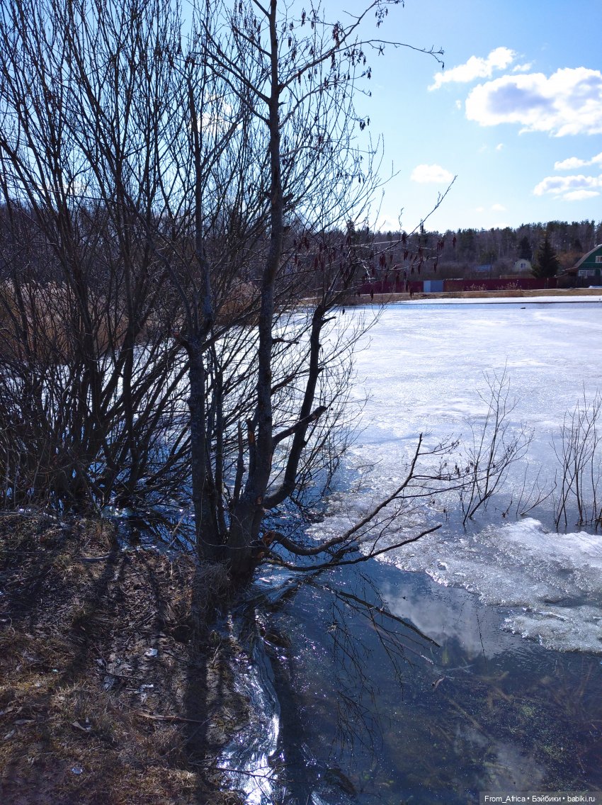 На свежем воздухе — Куклы Harry Potter (Гарри Поттер) Mattel: Wizarding World