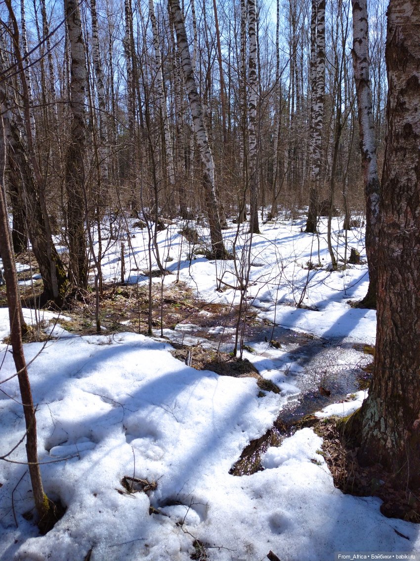 На свежем воздухе — Куклы Harry Potter (Гарри Поттер) Mattel: Wizarding World