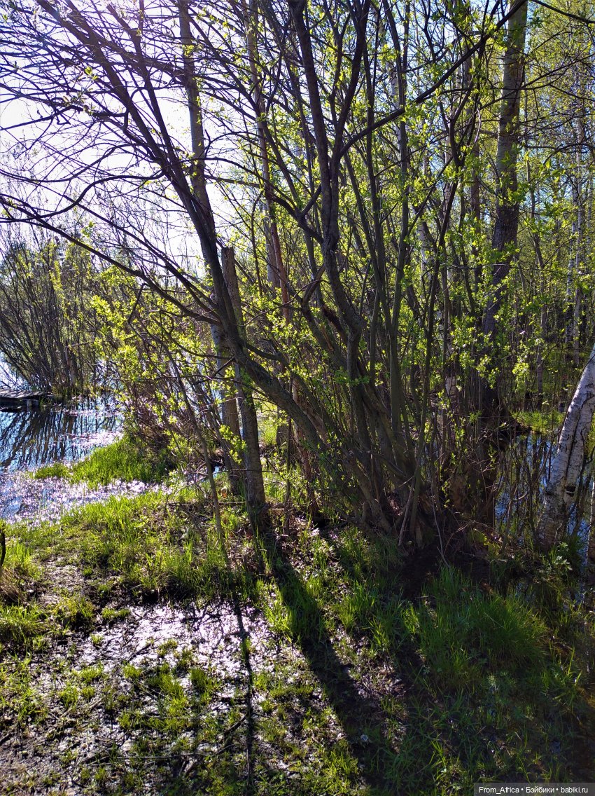 Рубеус Хагрид — Куклы Harry Potter (Гарри Поттер) Mattel: Wizarding World (фото 8)