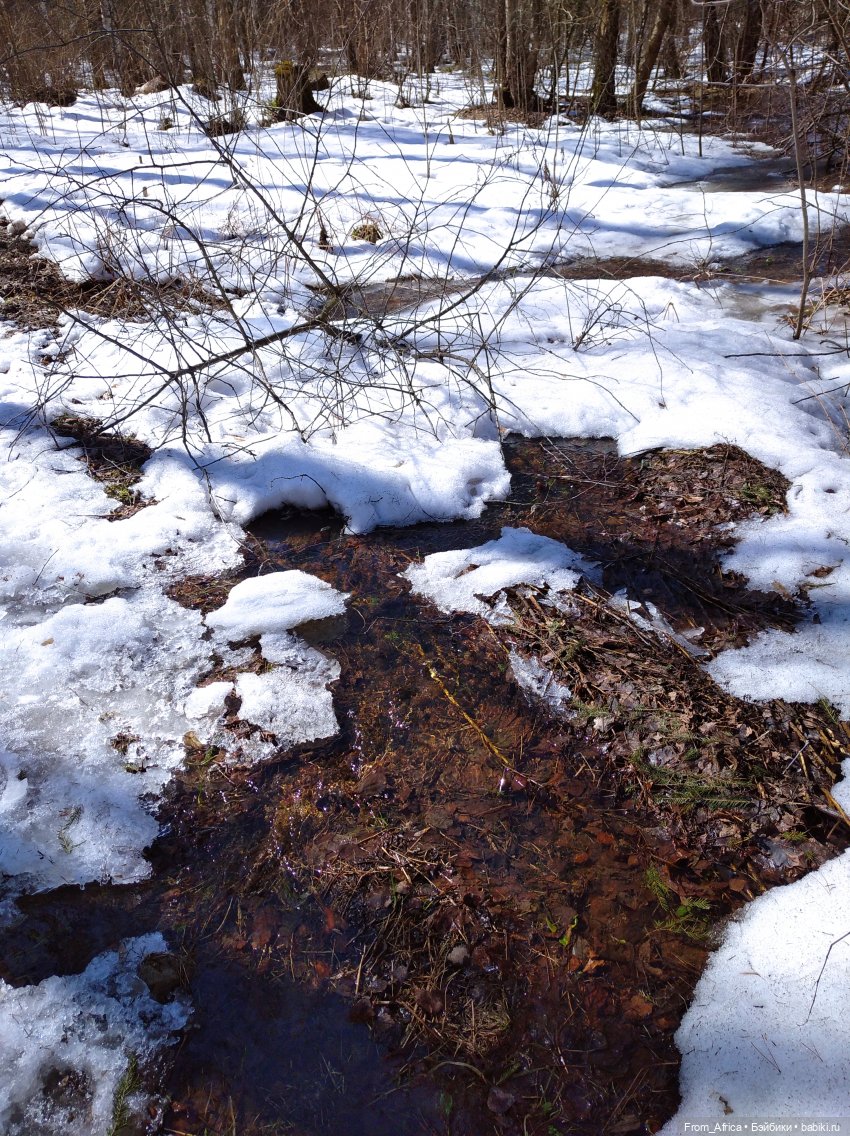 На свежем воздухе — Куклы Harry Potter (Гарри Поттер) Mattel: Wizarding World
