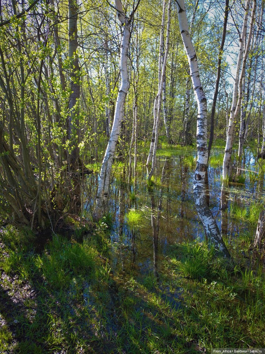 Рубеус Хагрид — Куклы Harry Potter (Гарри Поттер) Mattel: Wizarding World (фото 7)