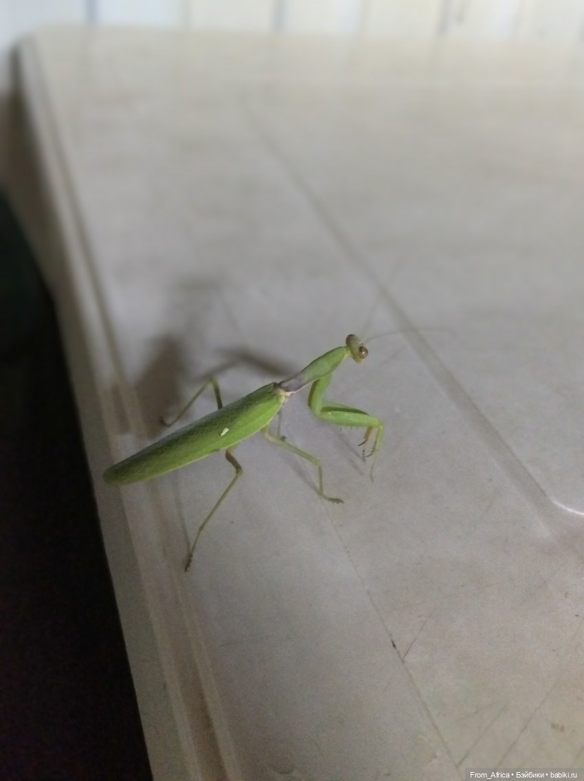 Воспоминания о море. Часть II