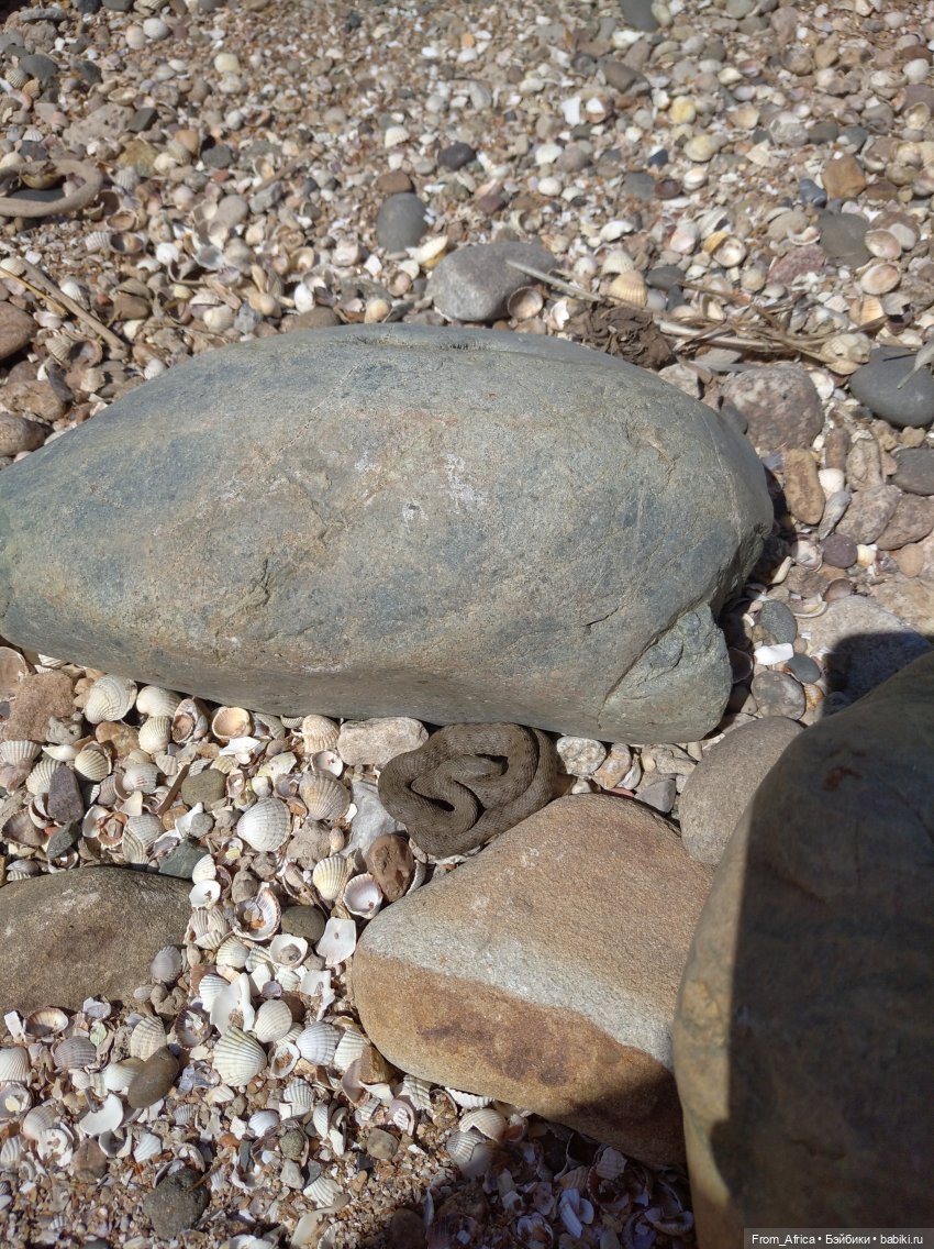 Воспоминания о море. Часть II